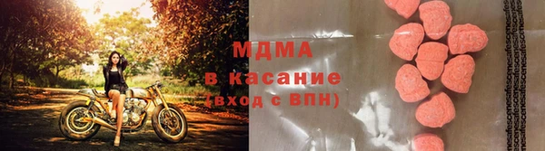 индика Арсеньев