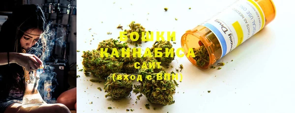 индика Арсеньев