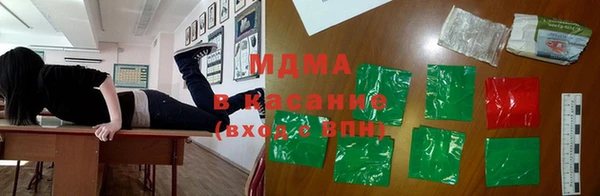 индика Арсеньев
