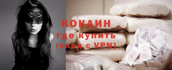 индика Арсеньев