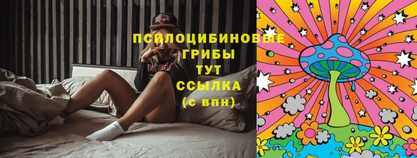 индика Арсеньев
