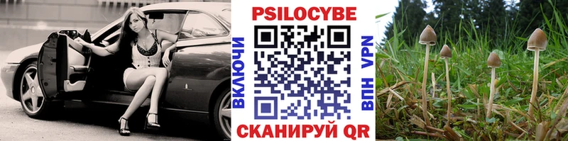 ОМГ ОМГ tor  Правдинск  Галлюциногенные грибы MAGIC MUSHROOMS 